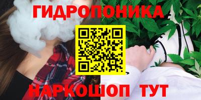 твердый Будённовск