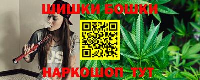 мдпв Татарск