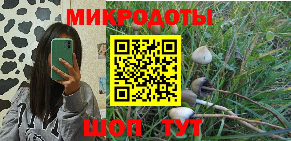 Псилоцибиновые грибы прущие грибы Михайловск