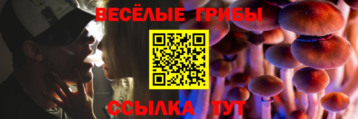Михайловск  Галлюциногенные грибы мухоморы  Вход с VPN 